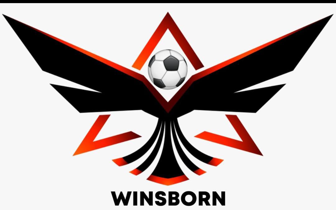 Winsborn(Винсборн) 35+