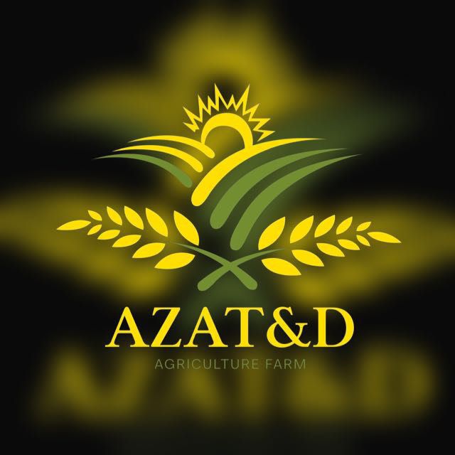 Azat&D