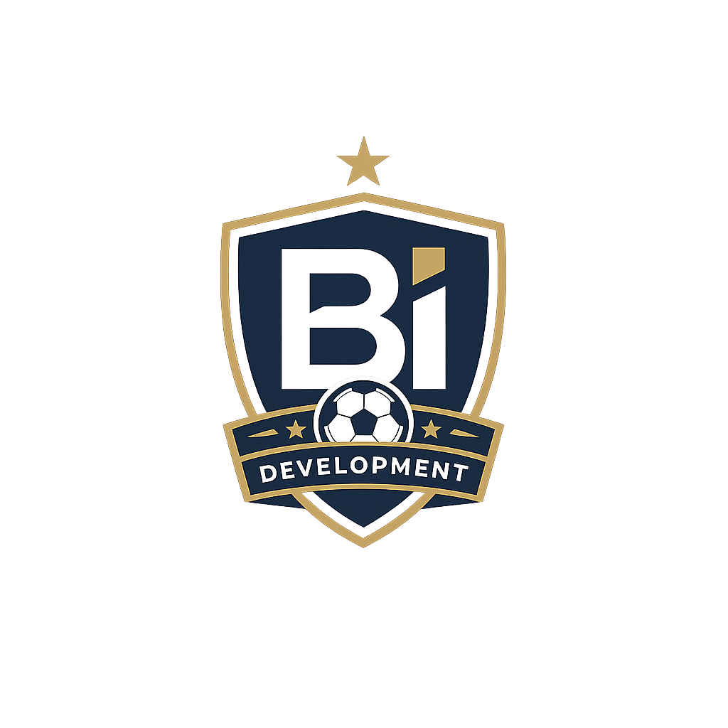 BI Development