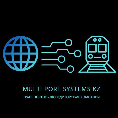 MultiPortSystemskz